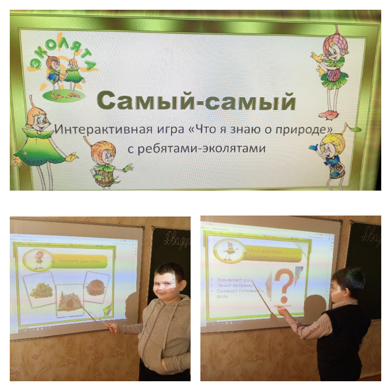 Всероссийский экологический урок.