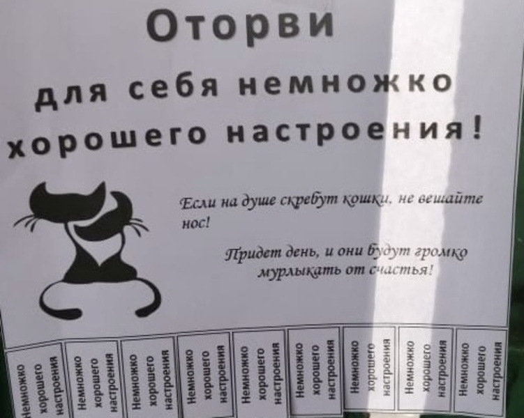 Неделя психологии.